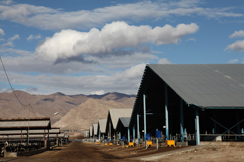 Zarrin-Heev Farm Buildings