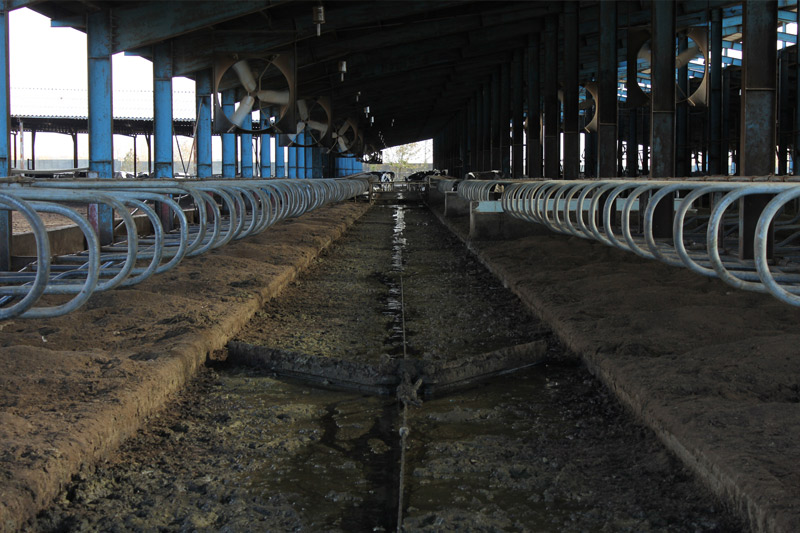 Zarrin-Heev Barn Interior